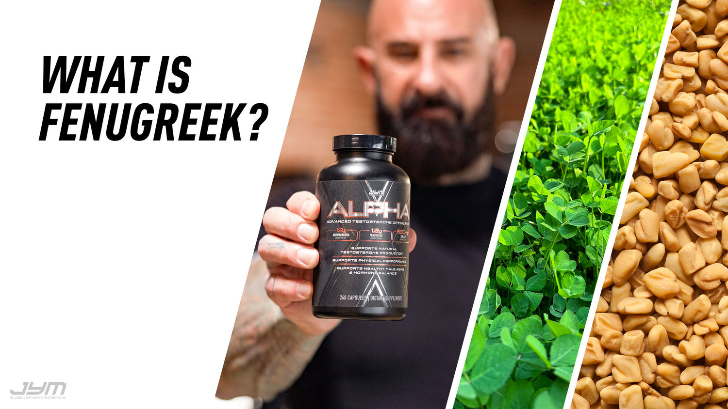 "What Is Fenugreek?" banner: bearded man holding black Alpha JYM bottle beside fenugreek plants and golden seeds.