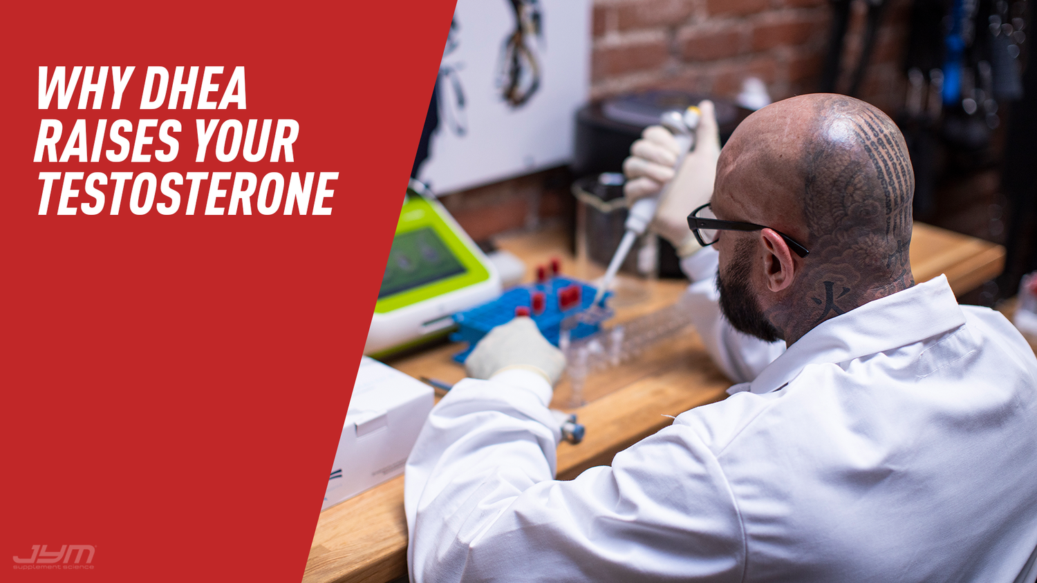 Bald tattooed scientist in lab coat pipetting into blue tube rack at wooden bench—"Why DHEA Raises Your Testosterone" banner.