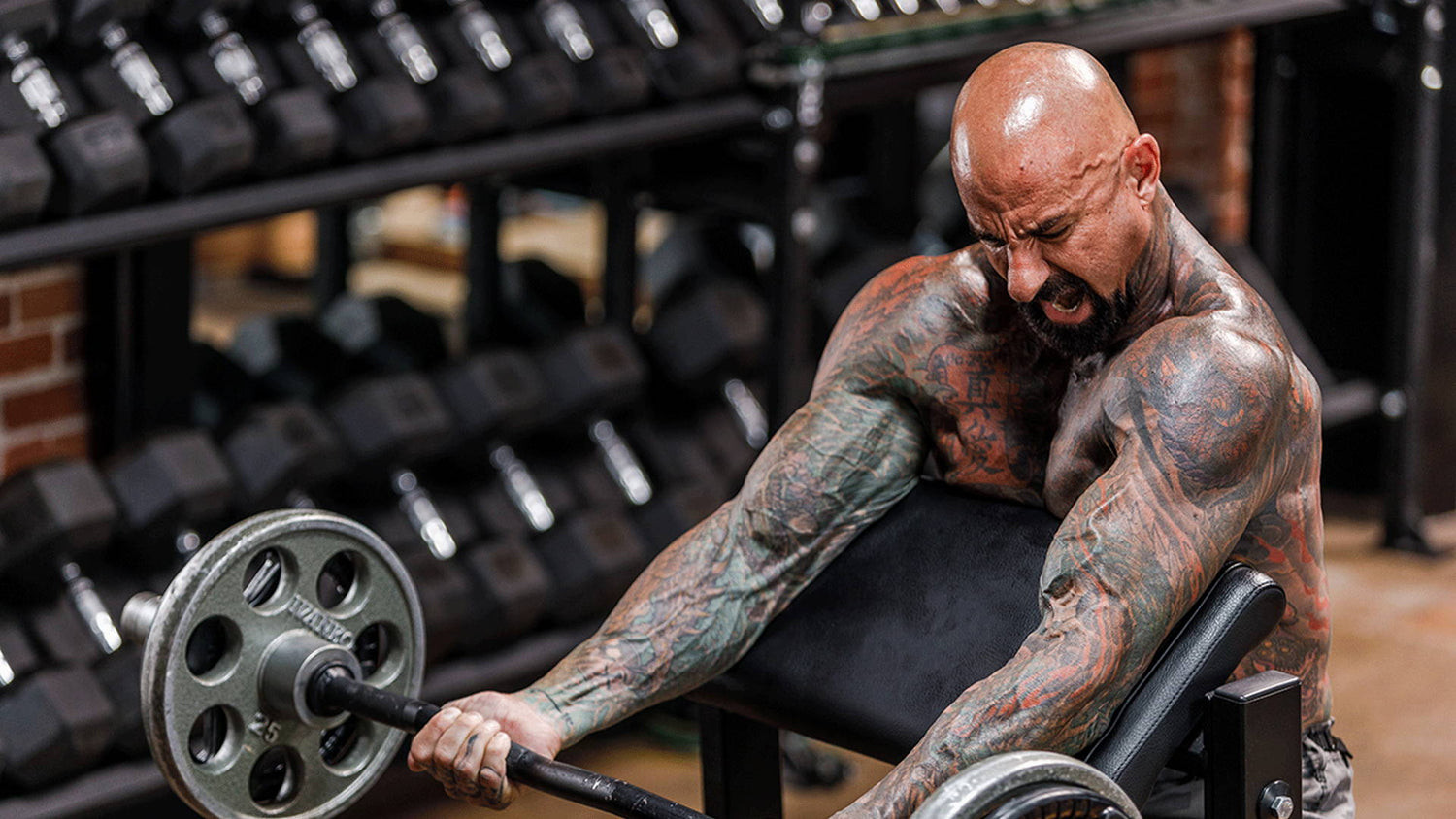 Go Old School For More Muscle: tattooed bodybuilder straining through a preacher curl with a barbell beside a dumbbell rack.