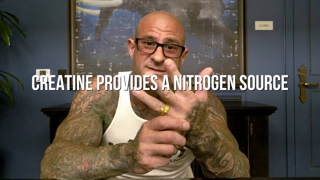 Jim Stoppani at desk with hands raised mid-explanation, overlay text "Creatine provides a nitrogen source," Creatine in Protein Powders article.