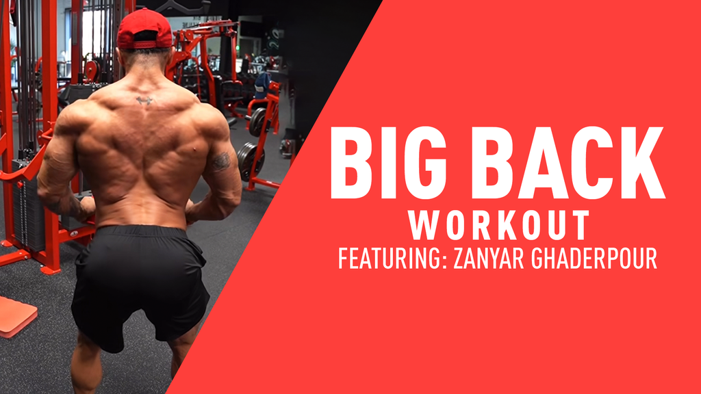 Zanyar's Big Back Workout